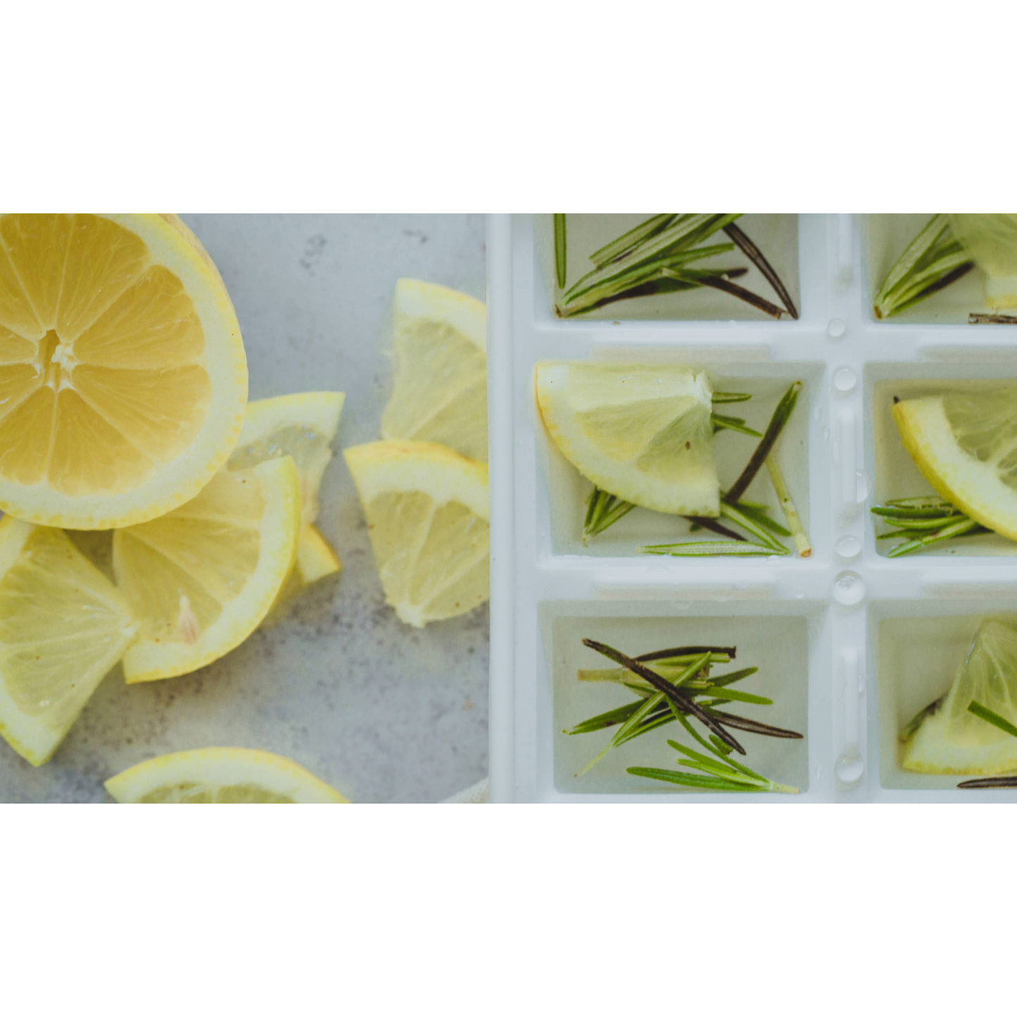 Detail van BarCraft ijsblokjestray met citroen en rozemarijn – voor creatieve ijsblokjes met Monin en meer. Verkrijgbaar bij Sherlocks Place, expert in thuis-barsupplies.